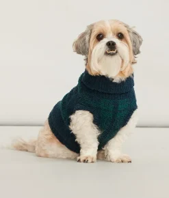 The Cozy Dog Sweater