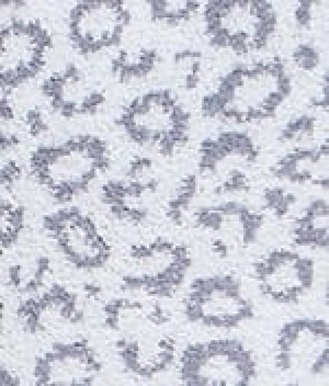 The Cozy Shawl Robe